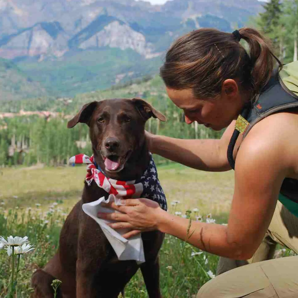 Adventure Dog Wipes