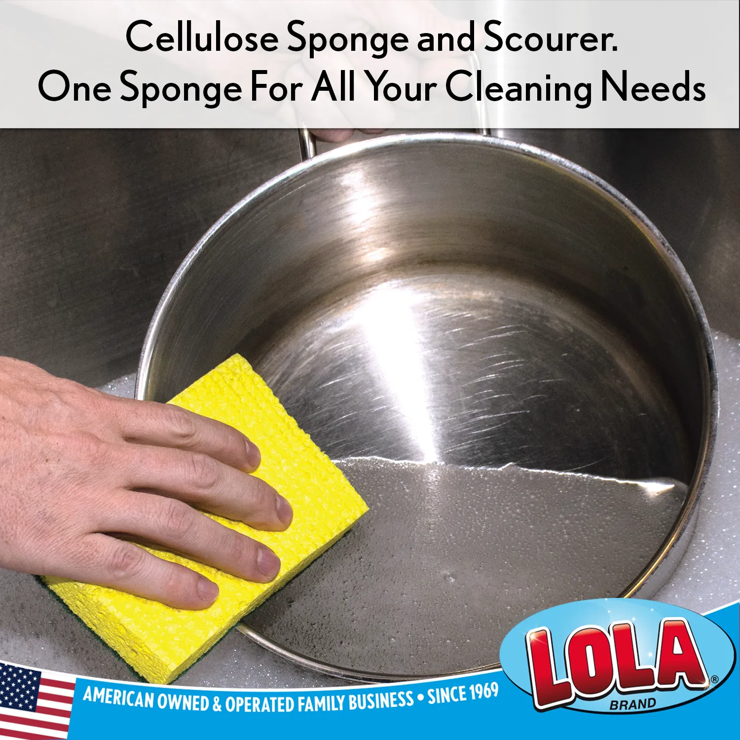 Cellulose Sponge and Scourer