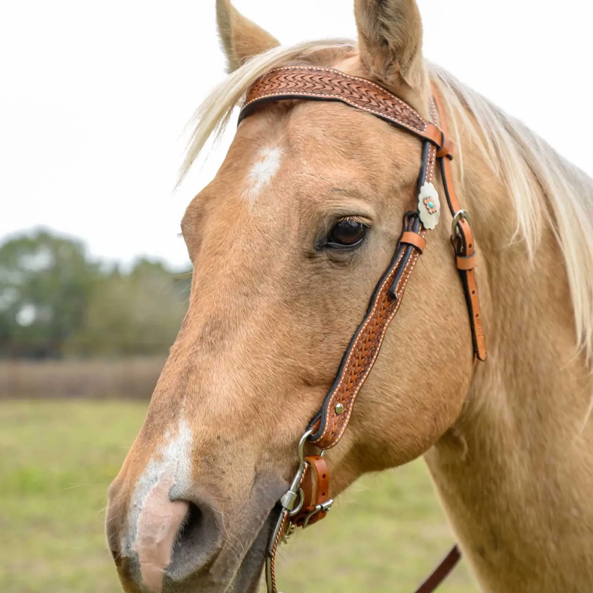 Circle Y Dawson Browband Headstall, Full