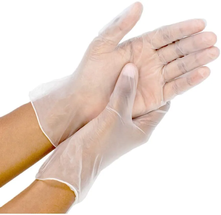 Disposable Vinyl Food Preparation Gloves, Multi-Purpose, Powder and Latex Free, (Pallet-84 Cases)