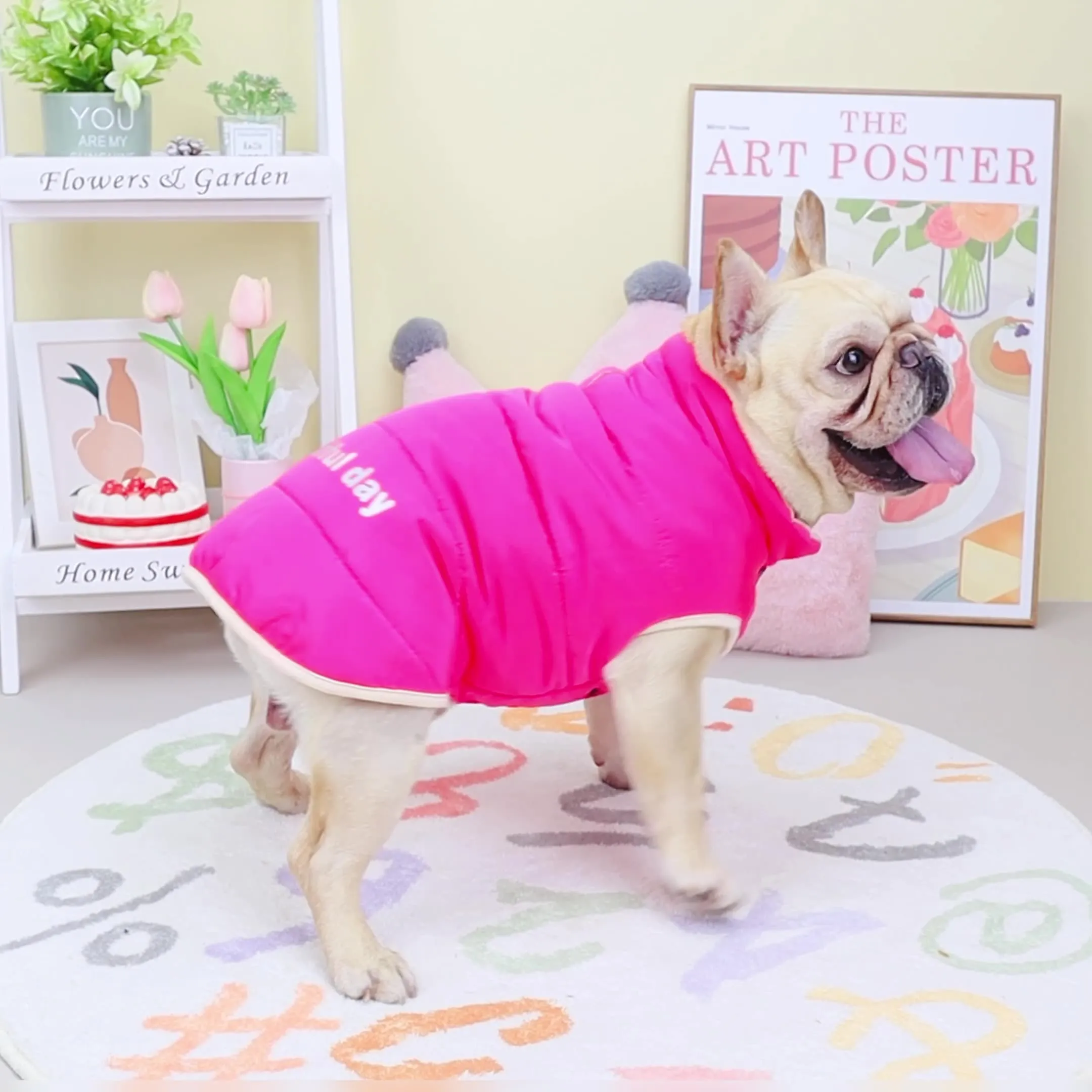 Fleece Lined French Bulldog Coats