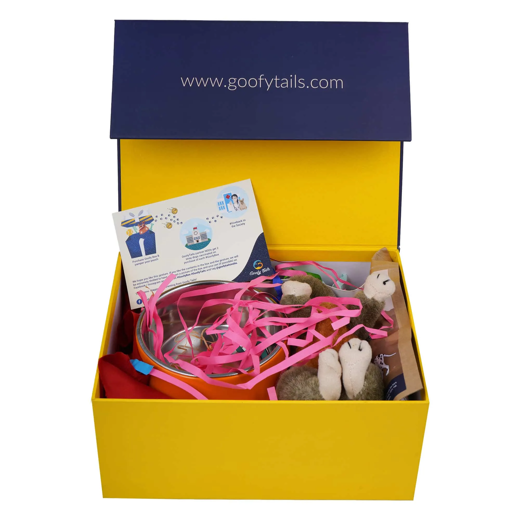 GoofyBox | Puppy Starter Kit | (Ideal for puppies up to 3 months of age) 8 items equals to 1 box