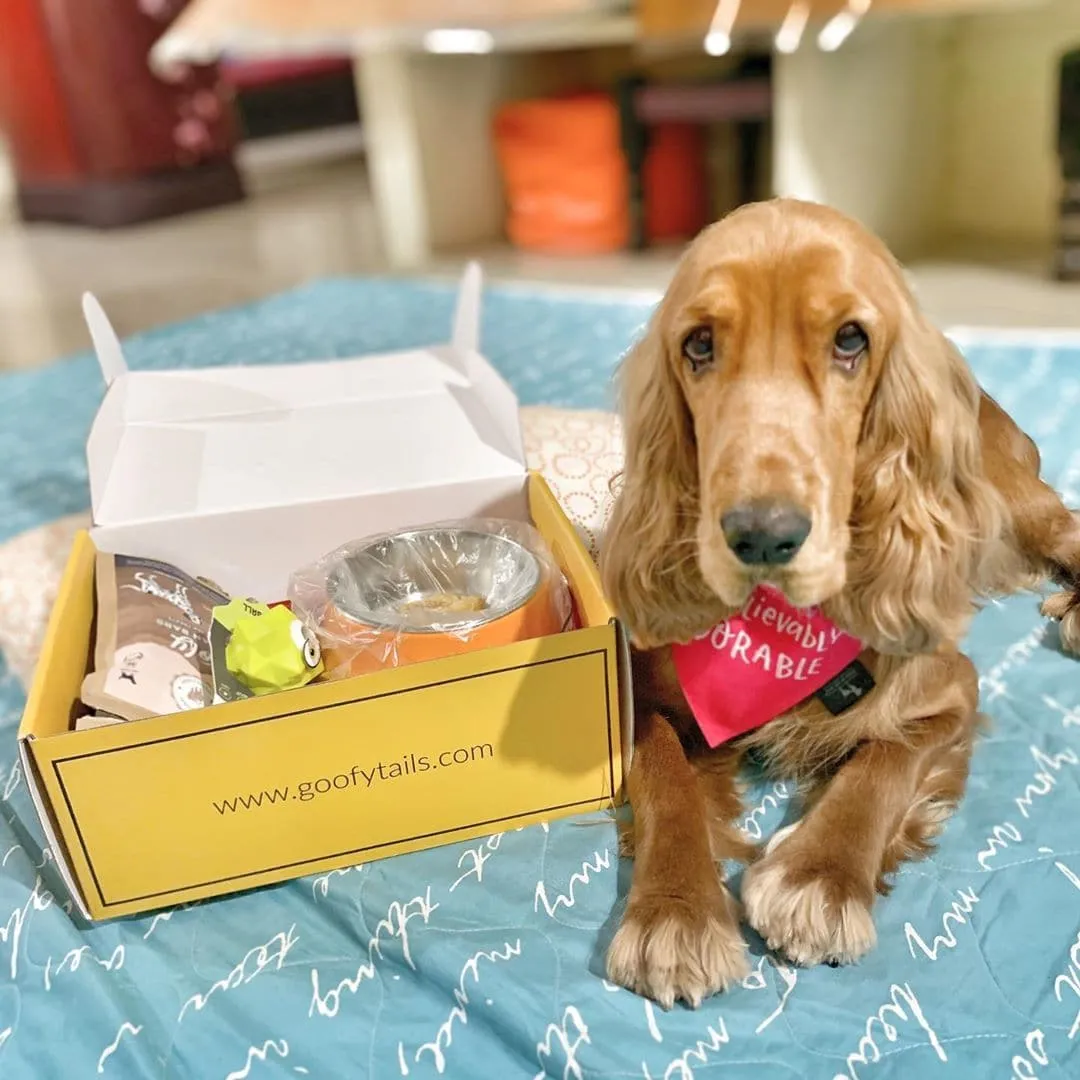 GoofyBox | Puppy Starter Kit | (Ideal for puppies up to 3 months of age) 8 items equals to 1 box