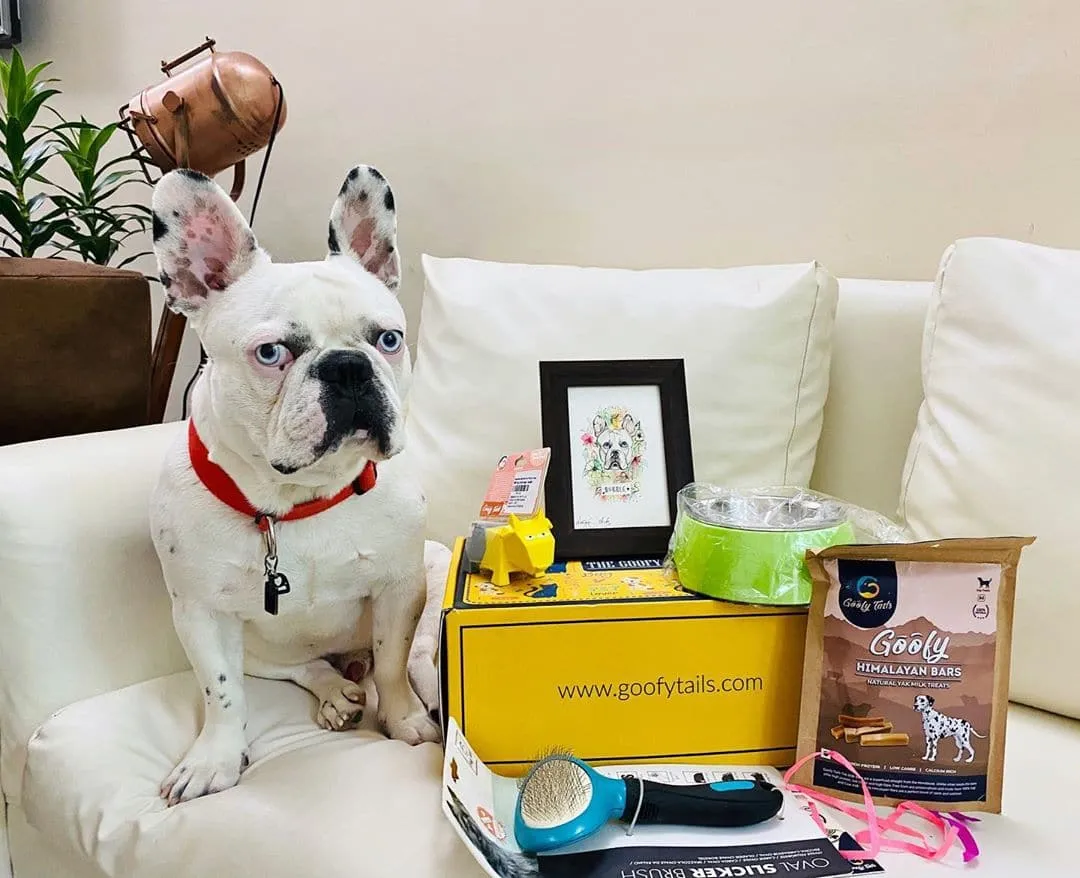 GoofyBox | Puppy Starter Kit | (Ideal for puppies up to 3 months of age) 8 items equals to 1 box