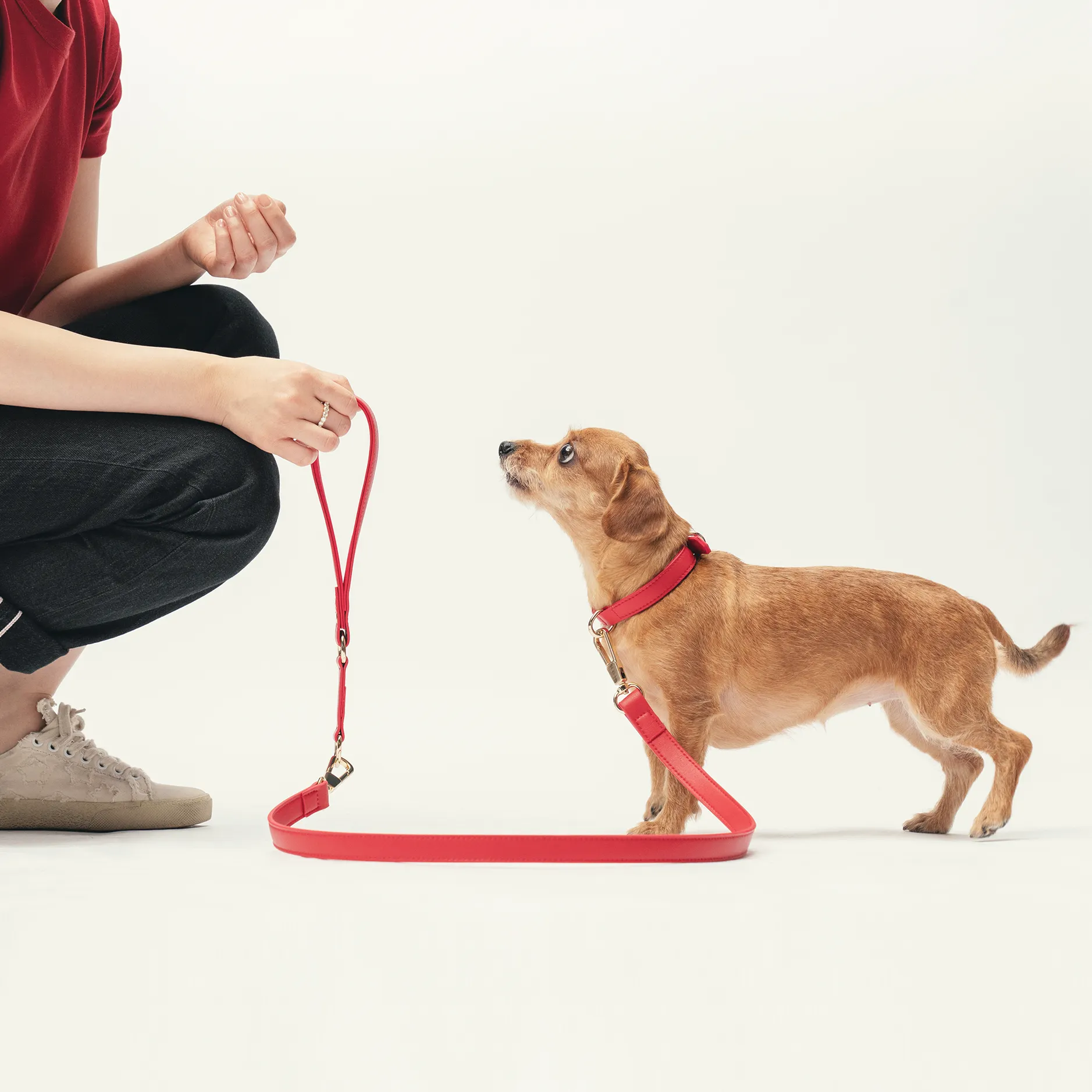 Leash - Flame Red