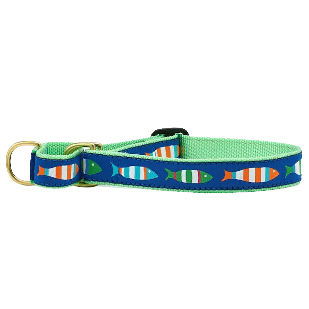 Martingale Collar | Funky Fish