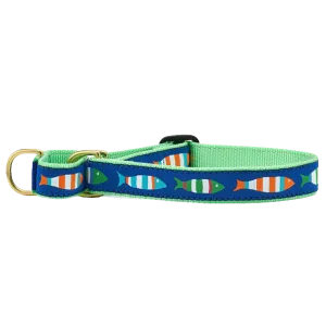 Martingale Collar | Funky Fish