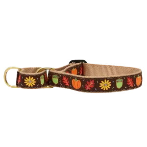 Martingale Collar | Harvest Time