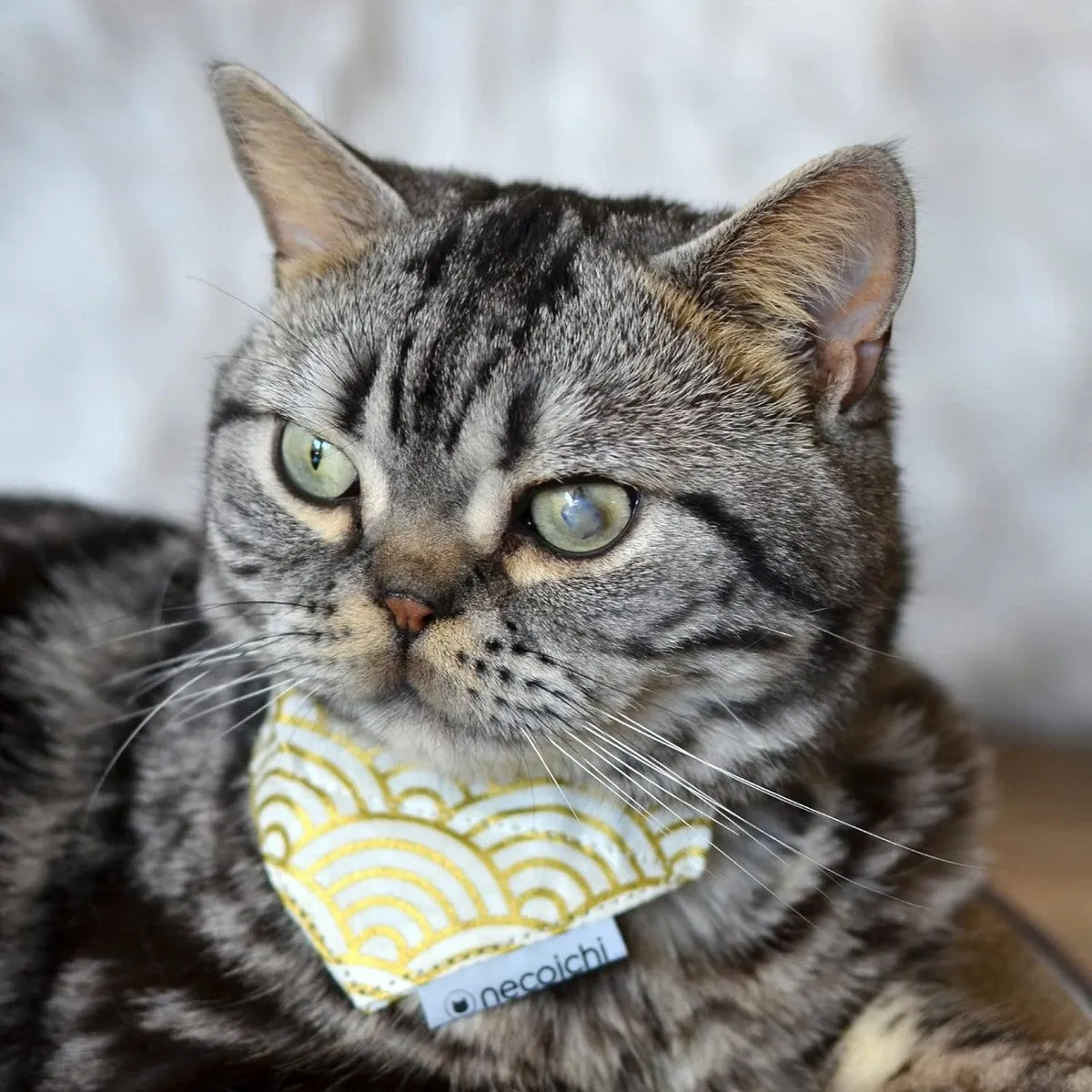 Necoichi Bandana Cat Collar with Air Tag Pocket Gilded Wave White