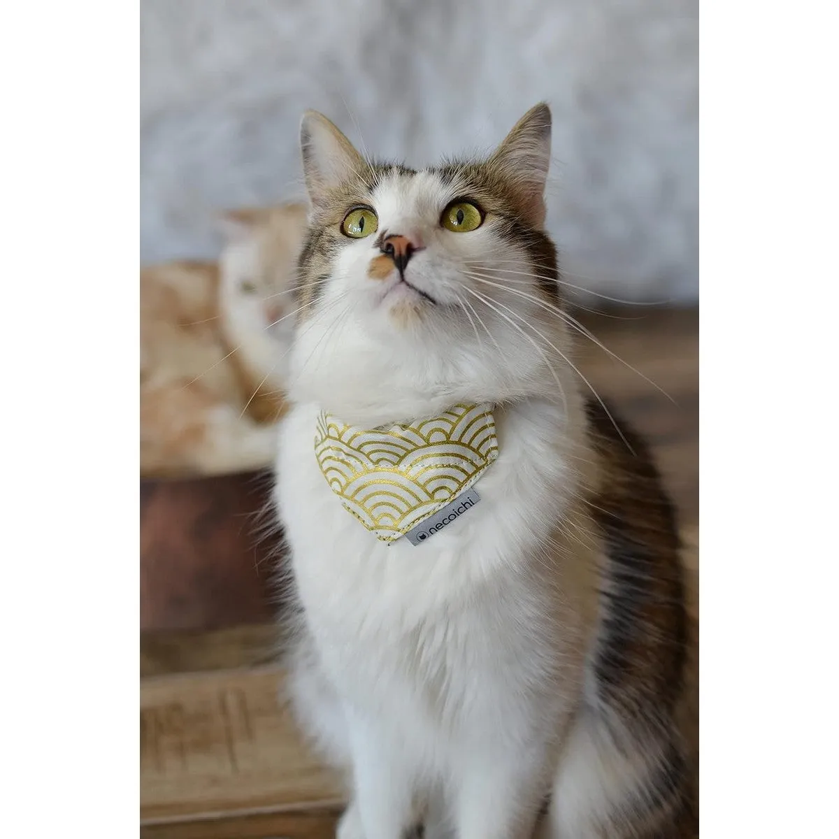 Necoichi Bandana Cat Collar with Air Tag Pocket Gilded Wave White