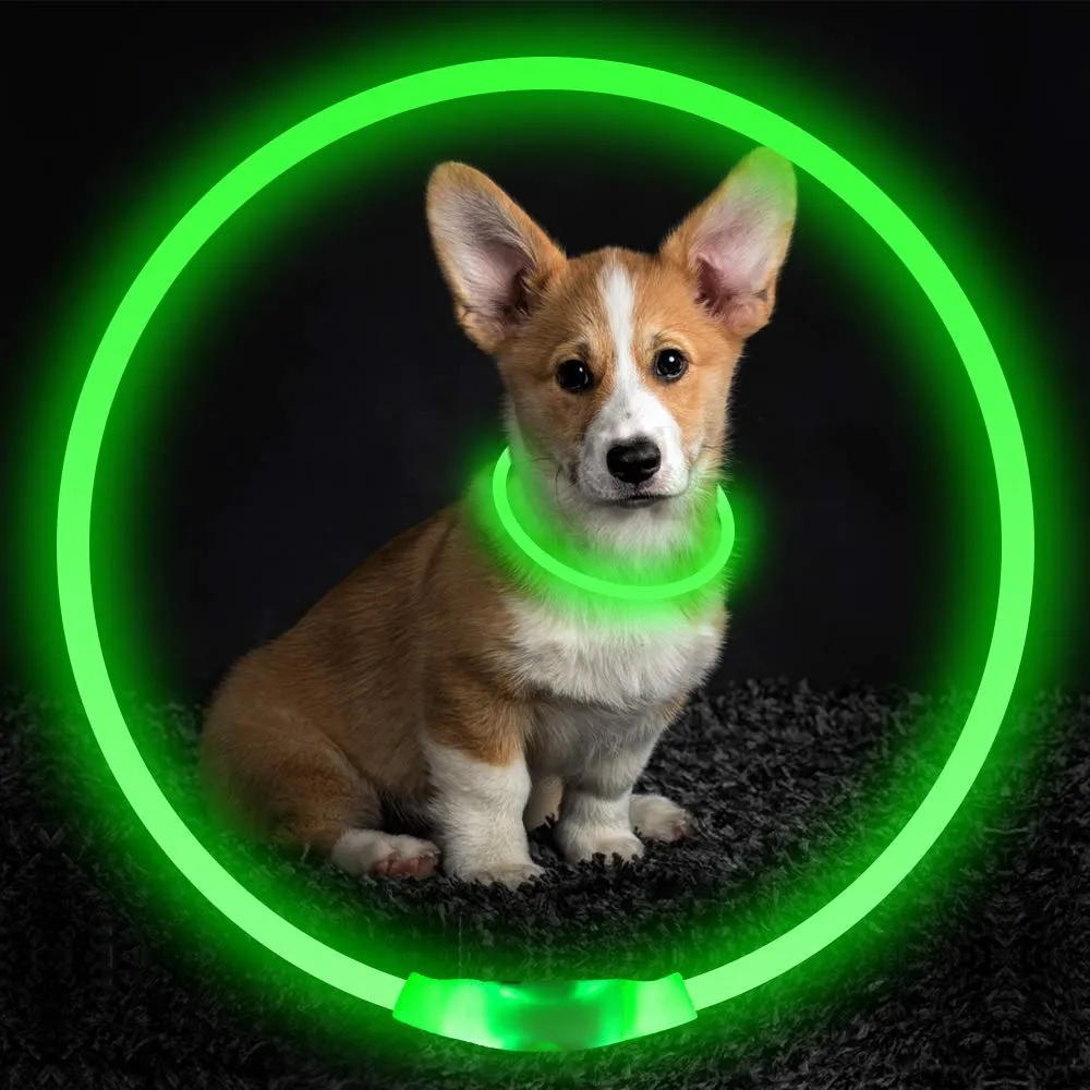 USB Rechargeable Safety Pet Collar